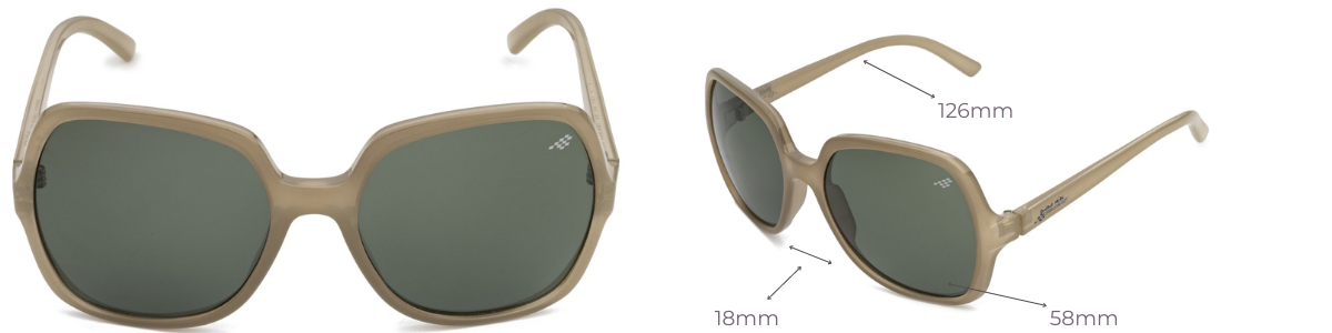 Redbull Women's Sunglasses